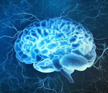Lose Weight & Build Brain Power – Mdslim.com Lose Weight & Build Brain Power – Mdslim.com