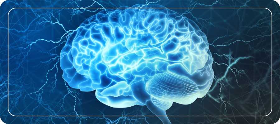 Lose Weight &; Build Brain Power – Mdslim.com Lose Weight &; Build Brain Power – Mdslim.com
