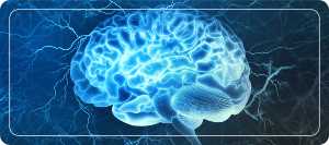 Lose Weight &; Build Brain Power – Mdslim.com Lose Weight &; Build Brain Power – Mdslim.com
